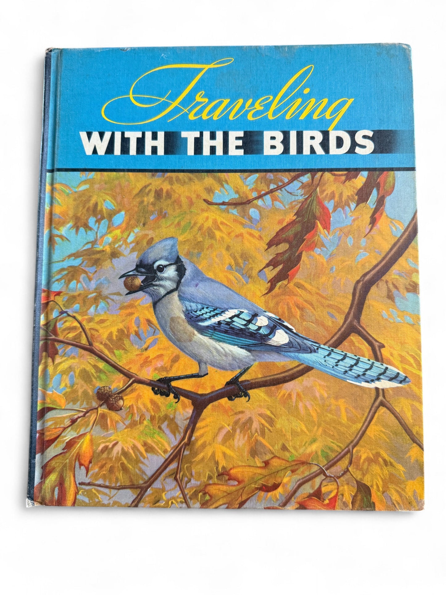 Vintage Book Traveling With The Birds: A Book on Migration