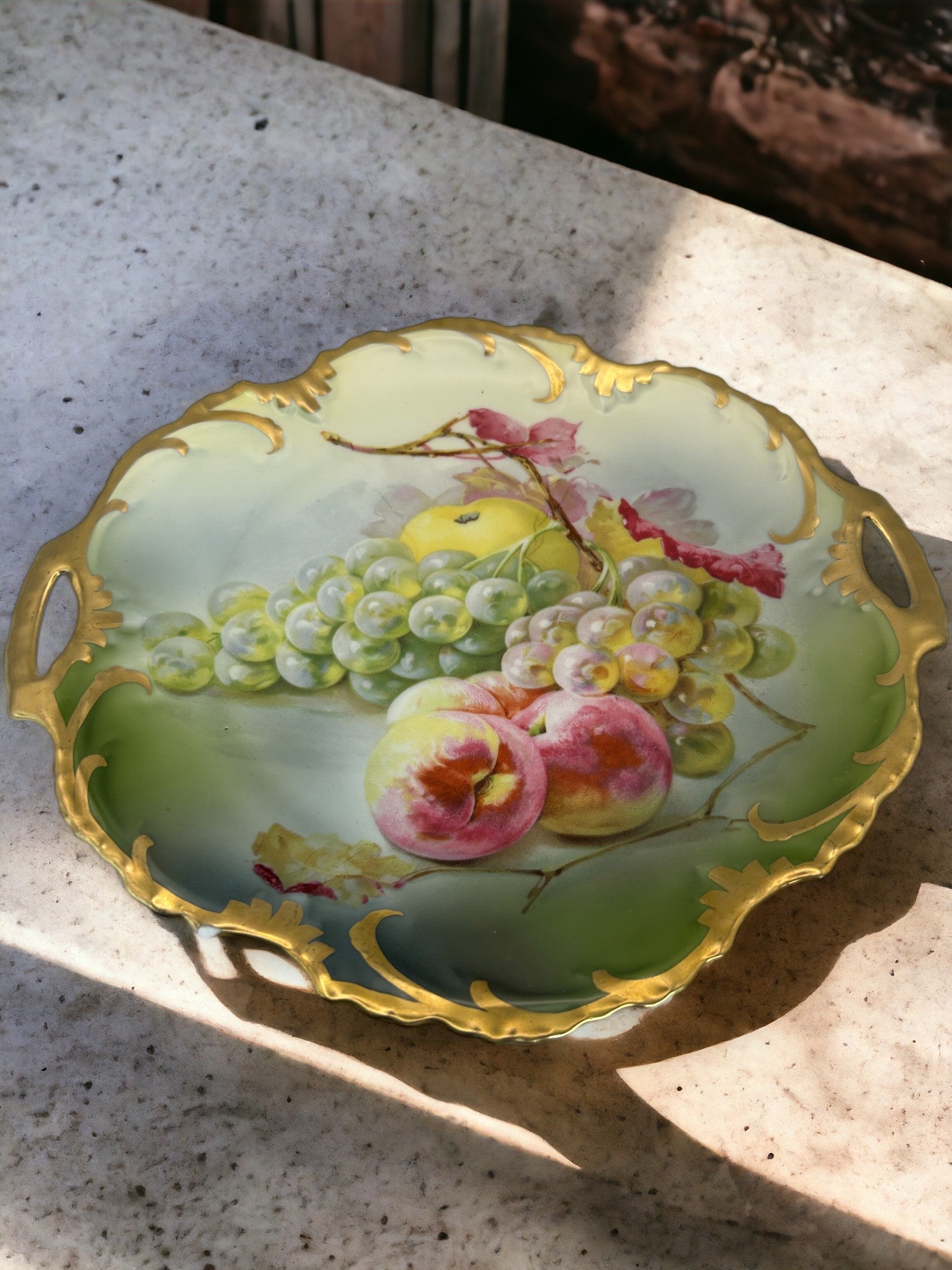 Royal Munich Hand Painted Plate With Handles