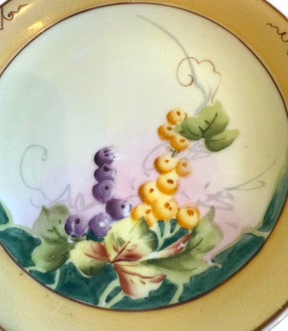 Set of 6 Vintage Hand-Painted Nippon China Plates – Grapes of Glam