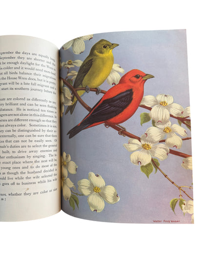 Vintage Book Traveling With The Birds: A Book on Migration