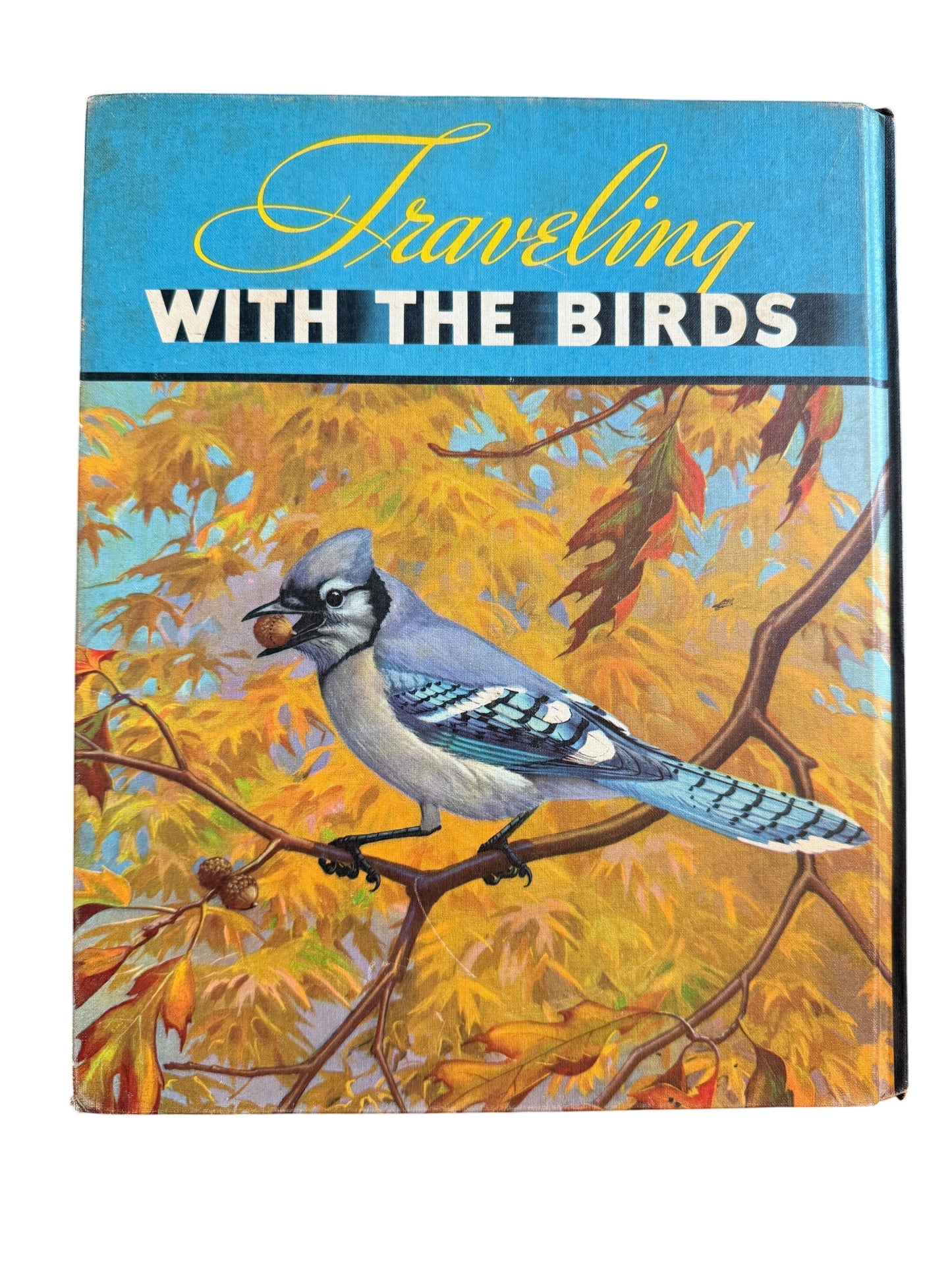 Hinson Vintage Interiors 1933 Traveling With The Birds book with blue cover and illustrated blue jay on a branch